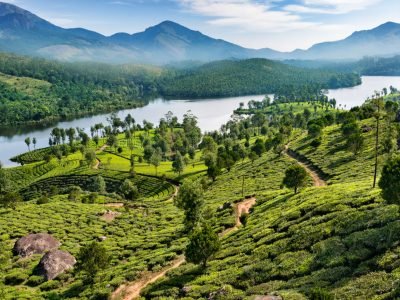 Munnar.jpg