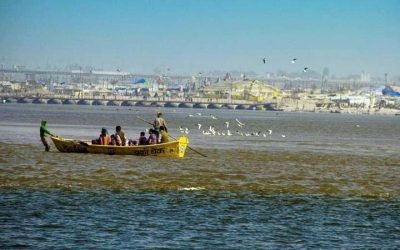 triveni